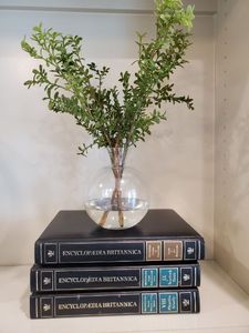 lot 24 image: Glass Vase with Faux Stems & Encyclopedias