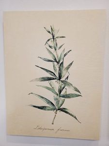 lot 60 image: Crackle Textured Giclee Herb Garden I