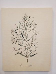 lot 61 image: Crackle Textured Giclee Herb Garden III