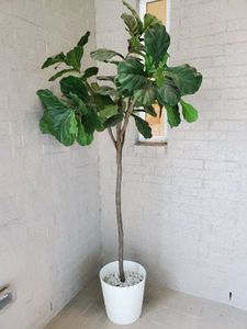 lot 64 image: Faux Fig Tree in Ceramic Planter with Rocks