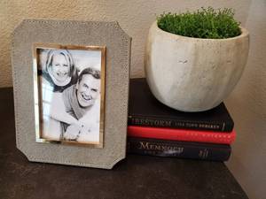 lot 106 image: 3 Books, Frame and Faux Plant