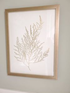 lot 114 image: Framed with Glass & Gold Foil Algae II by Goldberg