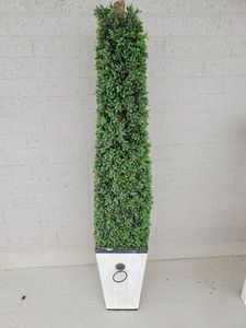 lot 216 image: Faux Topiary in Planter