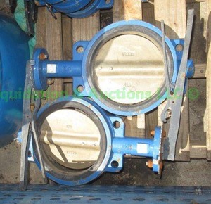 lot 361 image: Red-white valve corp. butterfly valve approx 10, 2 total