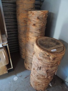lot 207 image: 3 palm tree stumps 49H x 13  deep,  43 x 1 foot,  and  32 x 14