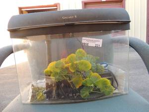 lot 231 image: fish tank with pump and all accessories