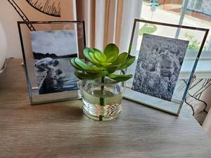 lot 5 image: Pair of Floating Table Frames & Faux Succulent