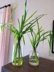 lot 9 image: Pair of Glass Vases with Faux Stems