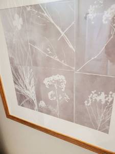 lot 15 image: Framed with Glass Sun Botanical IV Print