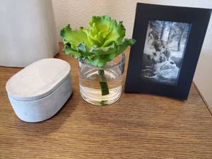 lot 26 image: Frame, Container & Faux Succulent