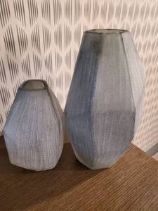 lot 48 image: Frosted Heavy Glass Organic Vases