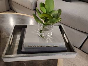 lot 53 image: Cost Plus Tray with Books & Faux Succulent in Glass Vase