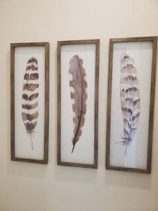 lot 65 image: Three Framed with Glass Threshold Feather Prints Drift