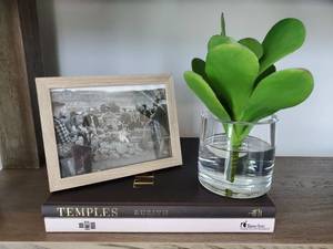 lot 96 image: Frame, Books & Faux Succulent