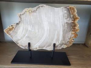 lot 98 image: Petrified Wood on Metal Stand