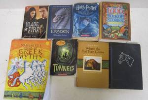 lot 728 image: Lot of Teen and tween Books