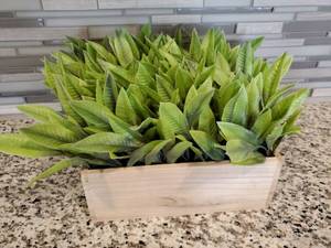 lot 42 image: Wood Box with Faux Plant