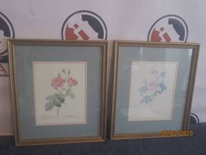 lot 102 image: TOTAL OF 2 VINTAGE PRINT SIGNED PIERRE REDOUTE 1817-1824&nbsp- ROSA CENTIFOLIA ANEMONOIDES&nbsp&nbsp- ROSA INERMIS GICLEE&nbsp-BOTH PRINTS 15 H X 13 L