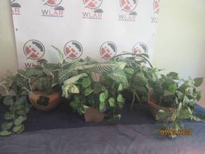 lot 172 image: TOTAL OF 4 ARTIFICIAL PLANTSGREENERY&nbsp WITH BASKETS&nbsp