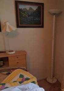 lot 42 image: LOT OF 2 LAMPS