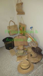 lot 67 image: Assorted gardening hats, totes and more