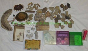 lot 135 image: Fossilized snake, geodes and assorted collectible stones