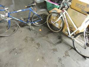 lot 531 image: Sterling Mega RS 10 speed bike needs air in tires and FREE SPIRIT  MENS 10 speed bike