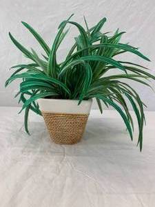 lot 125 image: Woven Basket with greenery