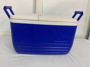 lot 54 image: Igloo Cooler