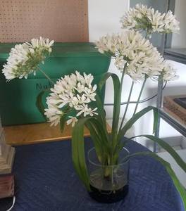 lot 21 image: FLORAL ARRANGEMENT WITH GLASS VASE
