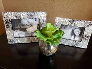 lot 82 image: Two Tozai Home Frames & Faux Succulent