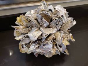 lot 91 image: Ball of Strung Shells