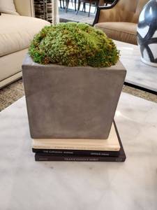 lot 116 image: Cement Planter with Moss & 3 Books