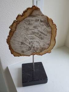 lot 128 image: Petrified Wood by Interlude Home