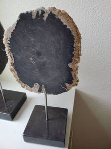 lot 129 image: Petrified Wood by Interlude Home