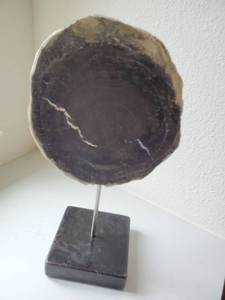 lot 130 image: Petrified Wood by Interlude Home