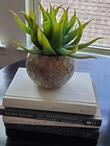 lot 173 image: Books & Faux Succulent