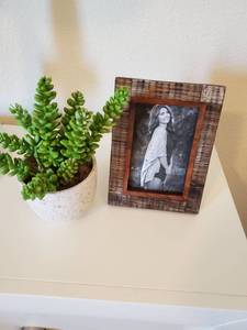 lot 203 image: Twos Company Frame & Faux Succulent