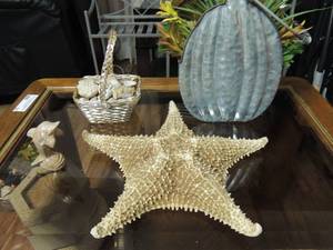 lot 125 image: Metal planter with rubber plants, star fish, basket of sea shells and marble dolphin