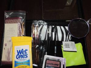 lot 246 image: Face lot -LA Colors blush new makeup bag, brushes, mirror and wet ones