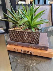 lot 11 image: Faux Succulents & 2 Books