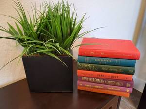 lot 14 image: Faux Greenery with 7 Books