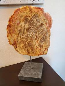 lot 15 image: Petrified Wood Sculpture on Black Marble Base