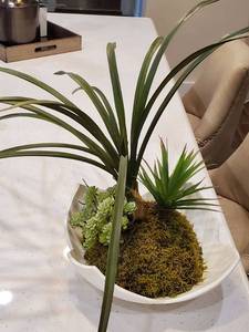 lot 69 image: White Plastic Container with Faux Plants