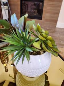 lot 100 image: Faux Succulents in White Ceramic Vase