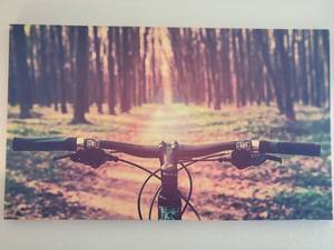 lot 273 image: Colorful Bike Print on Canvas