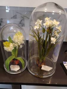 lot 276 image: Glass Cloches with Faux Plants
