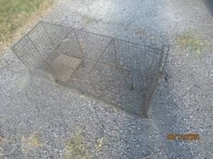lot 283 image: LIVE ANIMAL CAGE TRAP FOR RACOONS, CATS AND SQUIRRELS