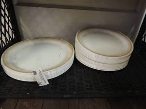 lot 22 image: Correll dish set 8 dinner plates and 16 salad plates