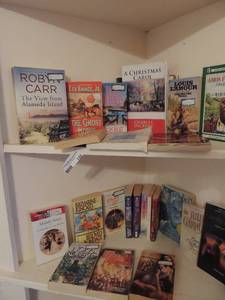 lot 150 image: Book lot includes CHRISTMAS Carol, Robyn Carr, Seven days to hell, and more
